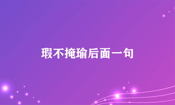 瑕不掩瑜后面一句