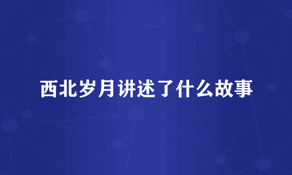 西北岁月讲述了什么故事