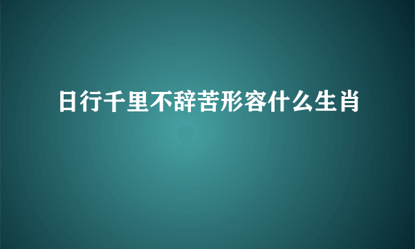 日行千里不辞苦形容什么生肖