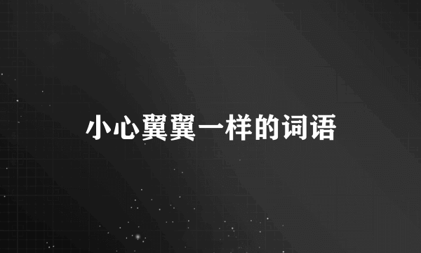 小心翼翼一样的词语