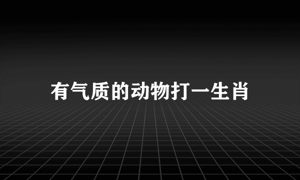 有气质的动物打一生肖