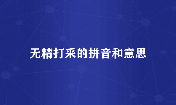 无精打采的拼音和意思