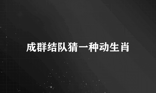 成群结队猜一种动生肖