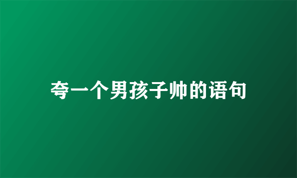 夸一个男孩子帅的语句