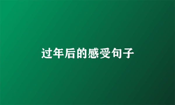 过年后的感受句子