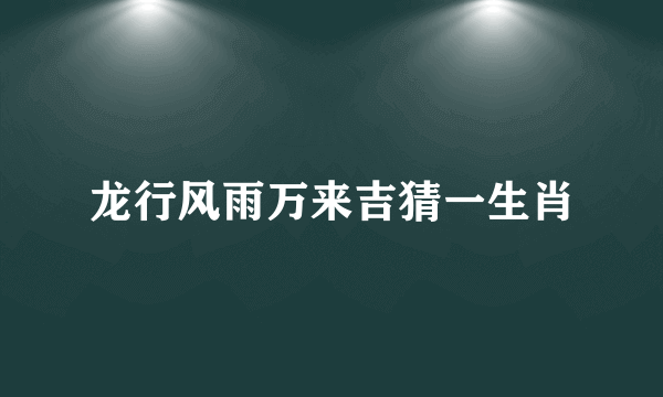 龙行风雨万来吉猜一生肖