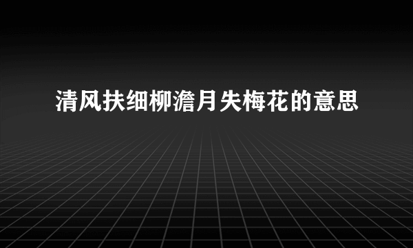 清风扶细柳澹月失梅花的意思