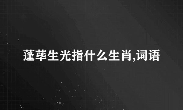 蓬荜生光指什么生肖,词语