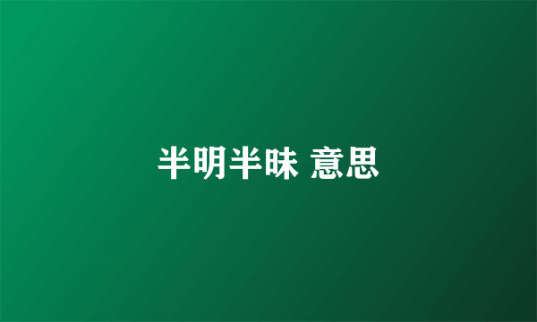 半明半昧 意思