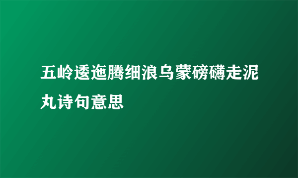 五岭逶迤腾细浪乌蒙磅礴走泥丸诗句意思