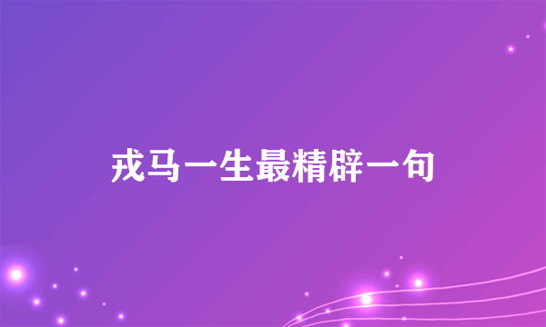 戎马一生最精辟一句