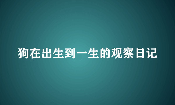 狗在出生到一生的观察日记