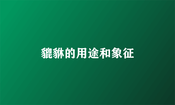 貔貅的用途和象征