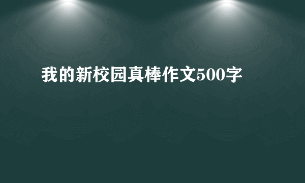 我的新校园真棒作文500字