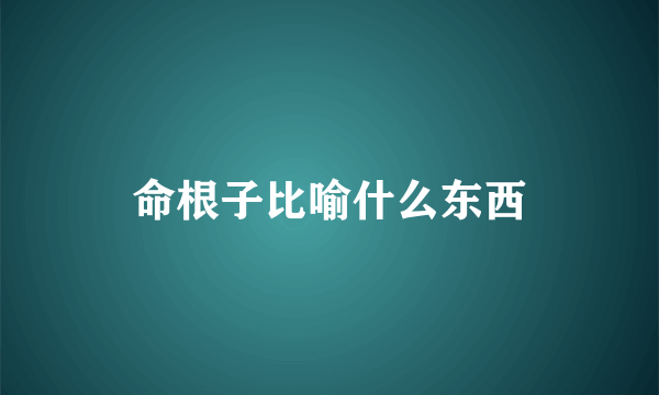 命根子比喻什么东西