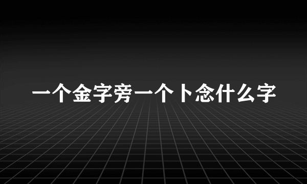 一个金字旁一个卜念什么字