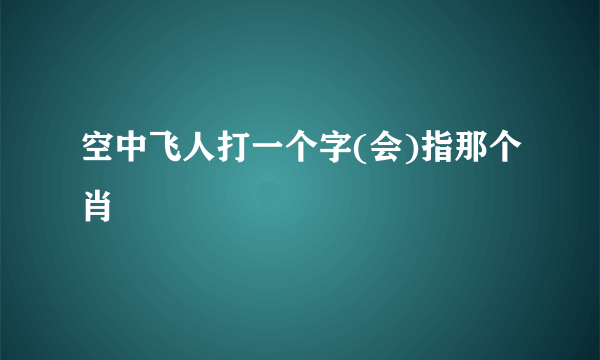 空中飞人打一个字(会)指那个肖