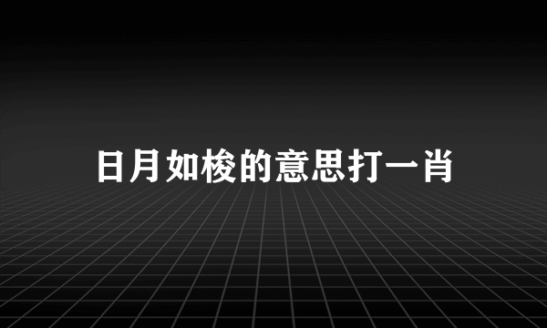 日月如梭的意思打一肖