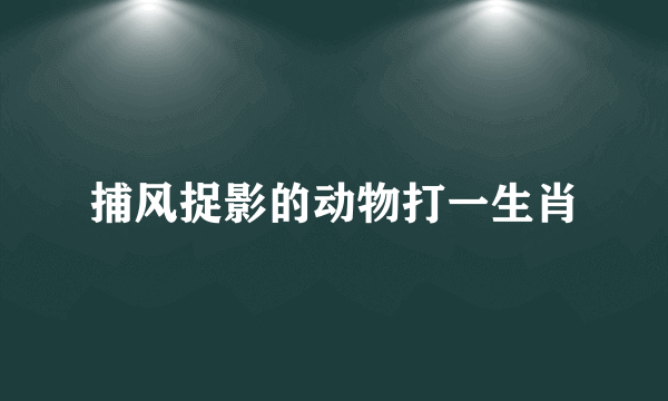 捕风捉影的动物打一生肖