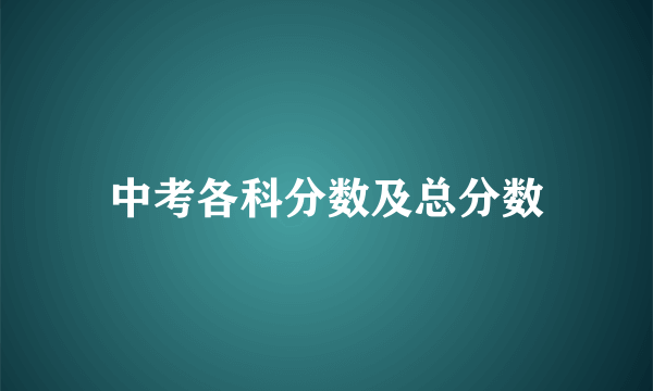 中考各科分数及总分数