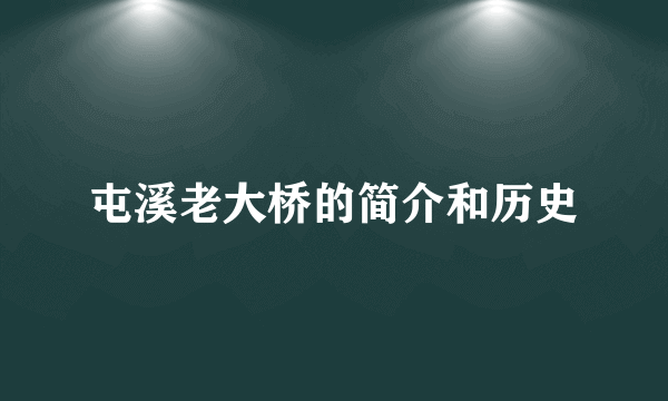 屯溪老大桥的简介和历史