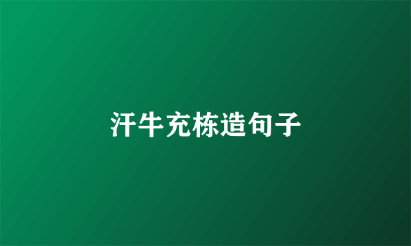汗牛充栋造句子