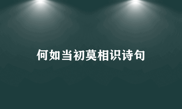 何如当初莫相识诗句