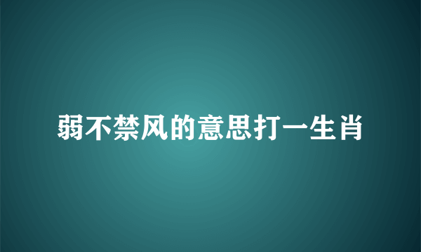 弱不禁风的意思打一生肖