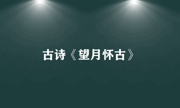 古诗《望月怀古》