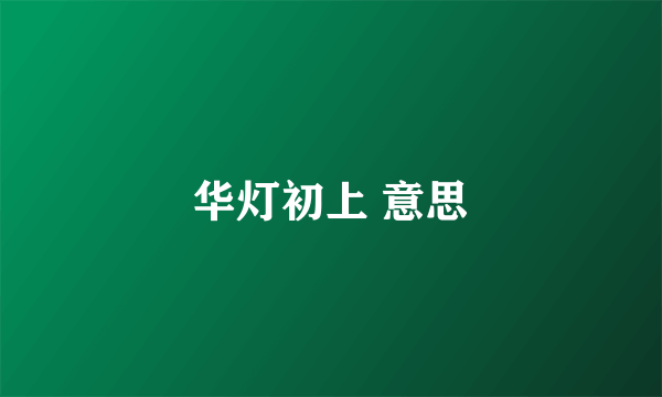 华灯初上 意思
