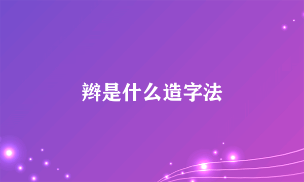 辫是什么造字法