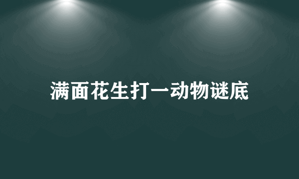 满面花生打一动物谜底