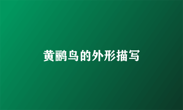 黄鹂鸟的外形描写