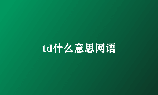 td什么意思网语