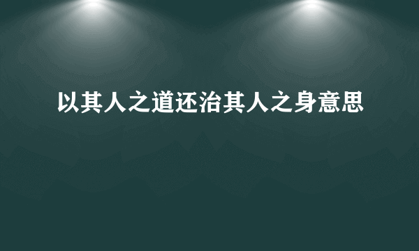 以其人之道还治其人之身意思