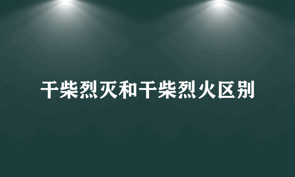 干柴烈灭和干柴烈火区别