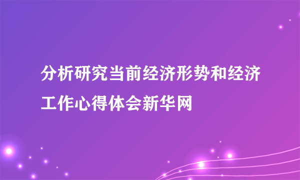 分析研究当前经济形势和经济工作心得体会新华网