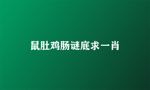 鼠肚鸡肠谜底求一肖
