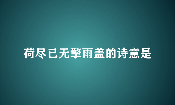 荷尽已无擎雨盖的诗意是