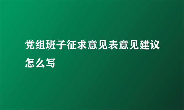 党组班子征求意见表意见建议怎么写