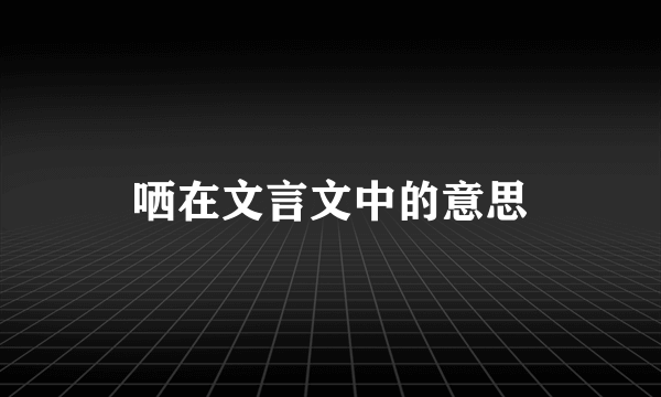 哂在文言文中的意思
