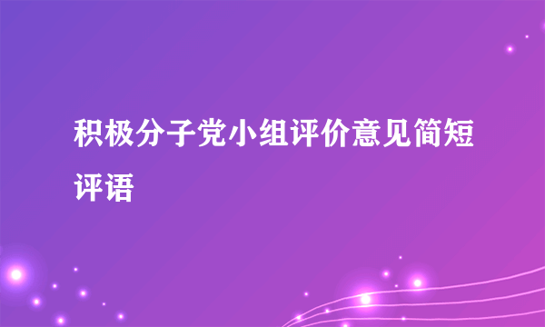 积极分子党小组评价意见简短评语