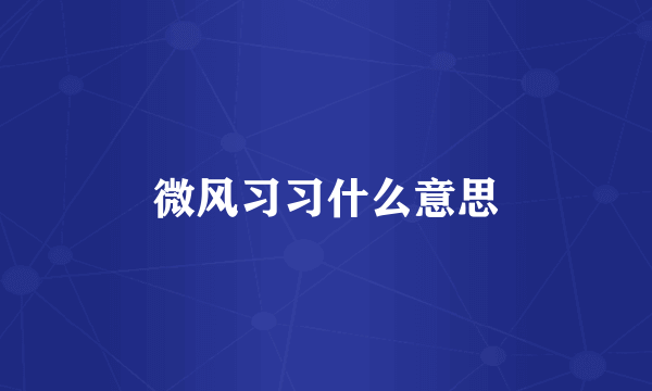 微风习习什么意思