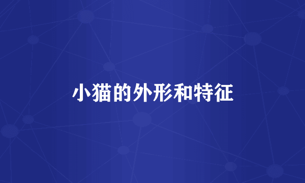 小猫的外形和特征