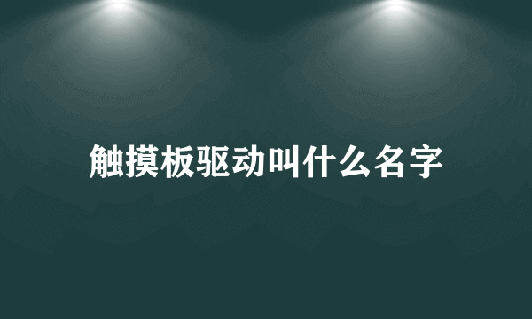 触摸板驱动叫什么名字
