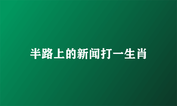 半路上的新闻打一生肖