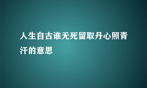 人生自古谁无死留取丹心照青汗的意思