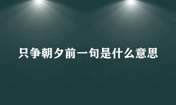 只争朝夕前一句是什么意思