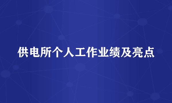 供电所个人工作业绩及亮点