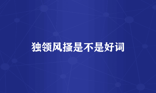 独领风搔是不是好词